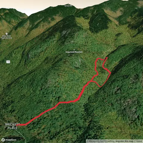 Bickford Slides via Bickford Brook Trail and Bickford Slides Trail