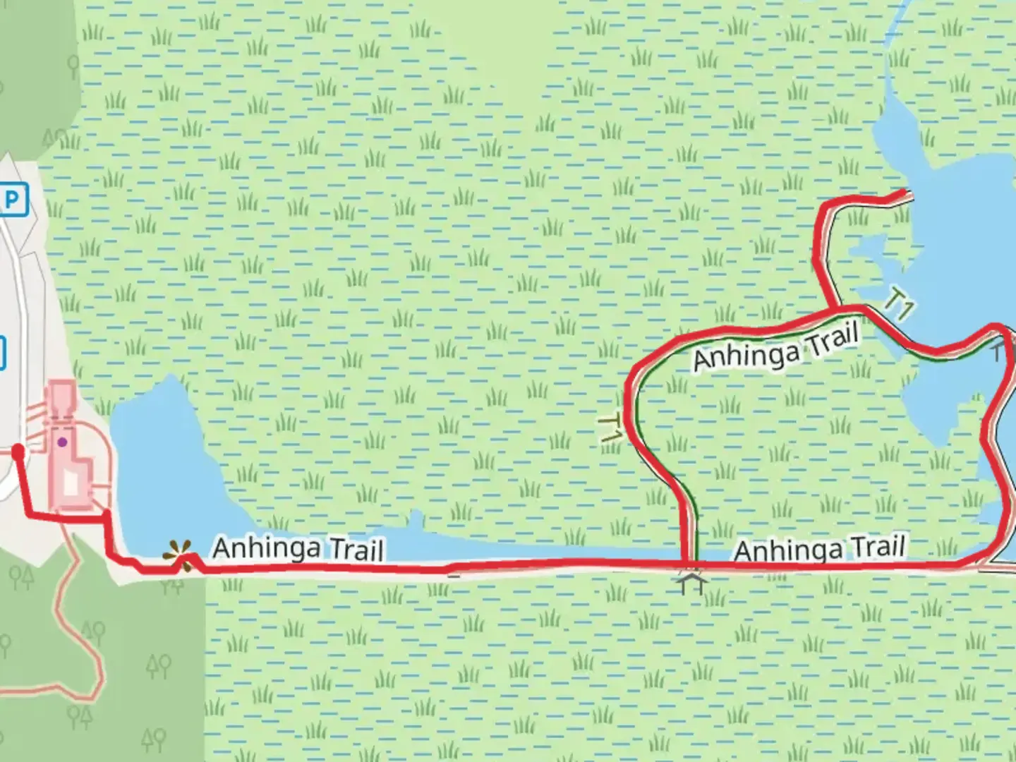 An image depicting the trail Anhinga Trail and its surrounding area.