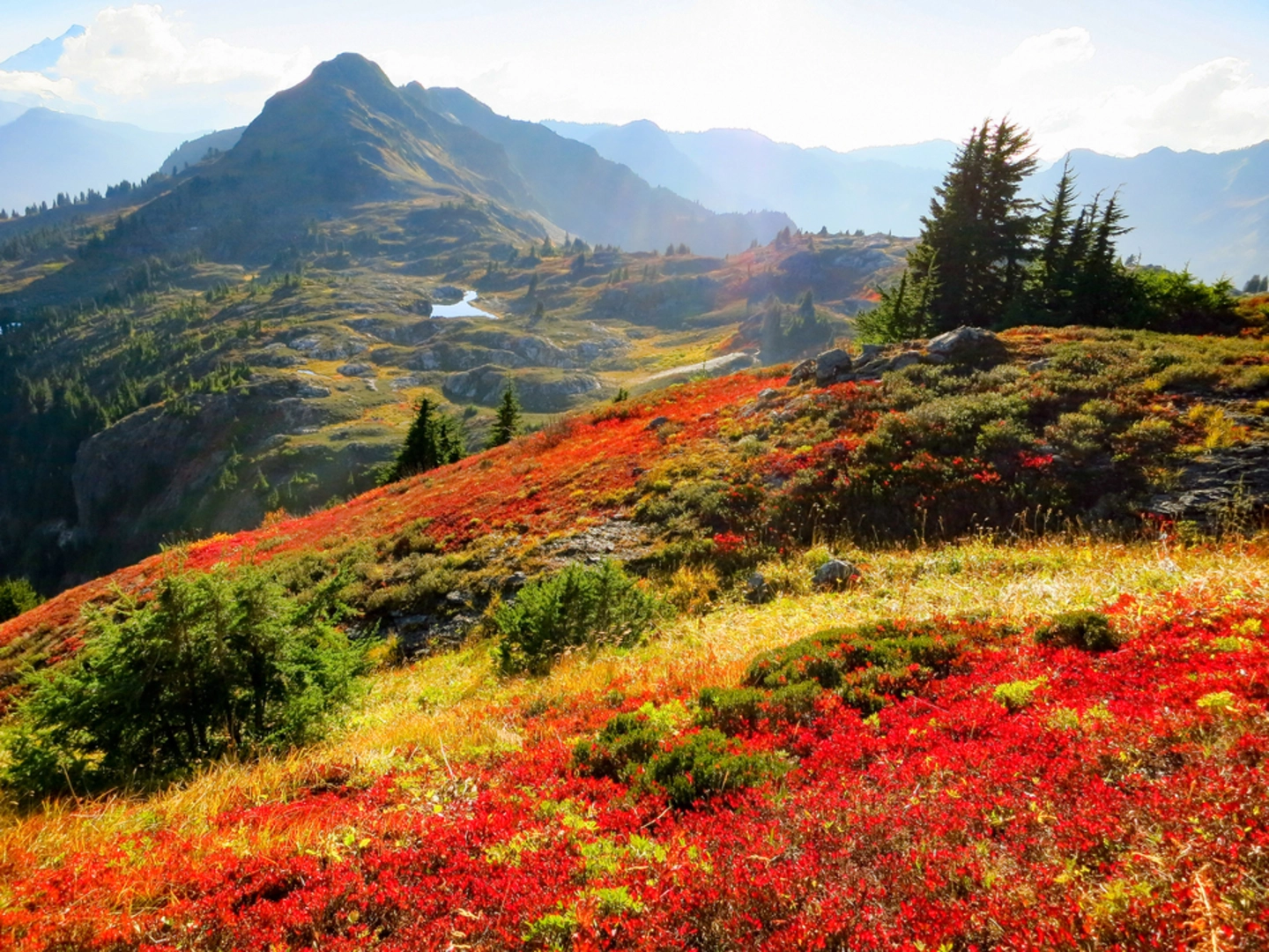 An image depicting the trail Yellow Aster Butte Trail and its surrounding area.