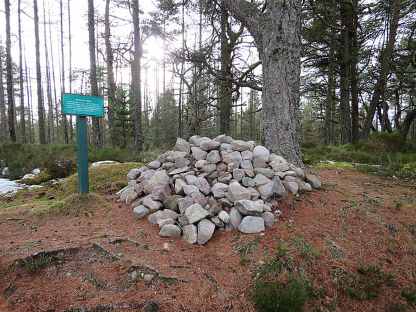 An image depicting the trail Peeps View Loop Trail and its surrounding area.