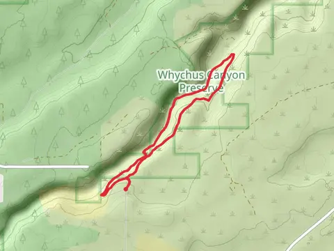 Rim and Creek Loop Trail