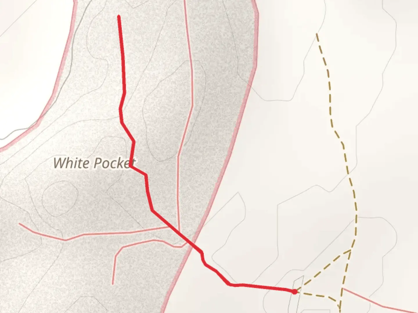 An image depicting the trail White Pocket and its surrounding area.