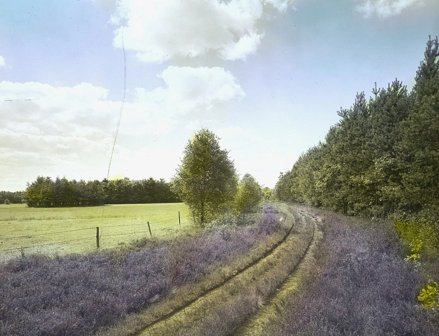 An image depicting the trail Tubbergen to Weerselo via Landgoed Baasdam and Rikmansbrug and its surrounding area.