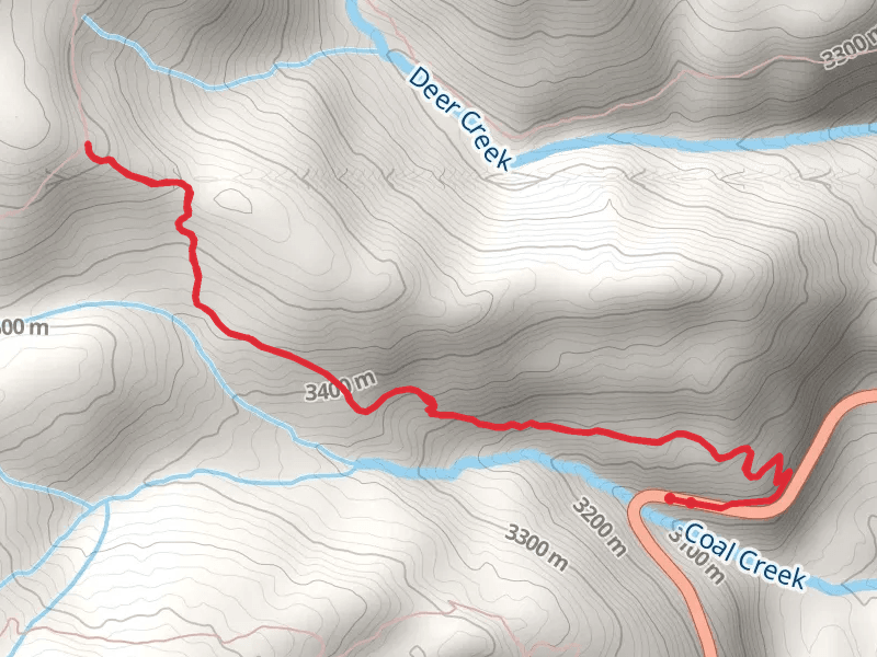 Coal Creek Trail from Million Dollar Highway
