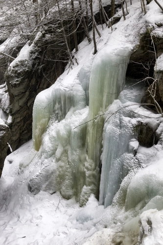 Tully Trail