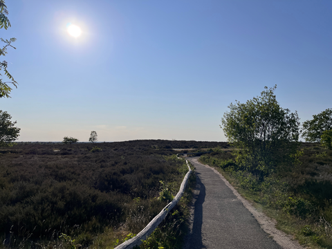 Noetselerberg, Wullenberg and Hexelerbosch Loop