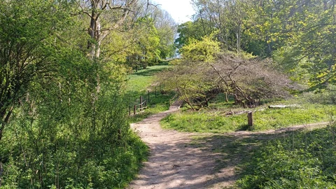 Dockey Wood Loop from Little Gaddesden