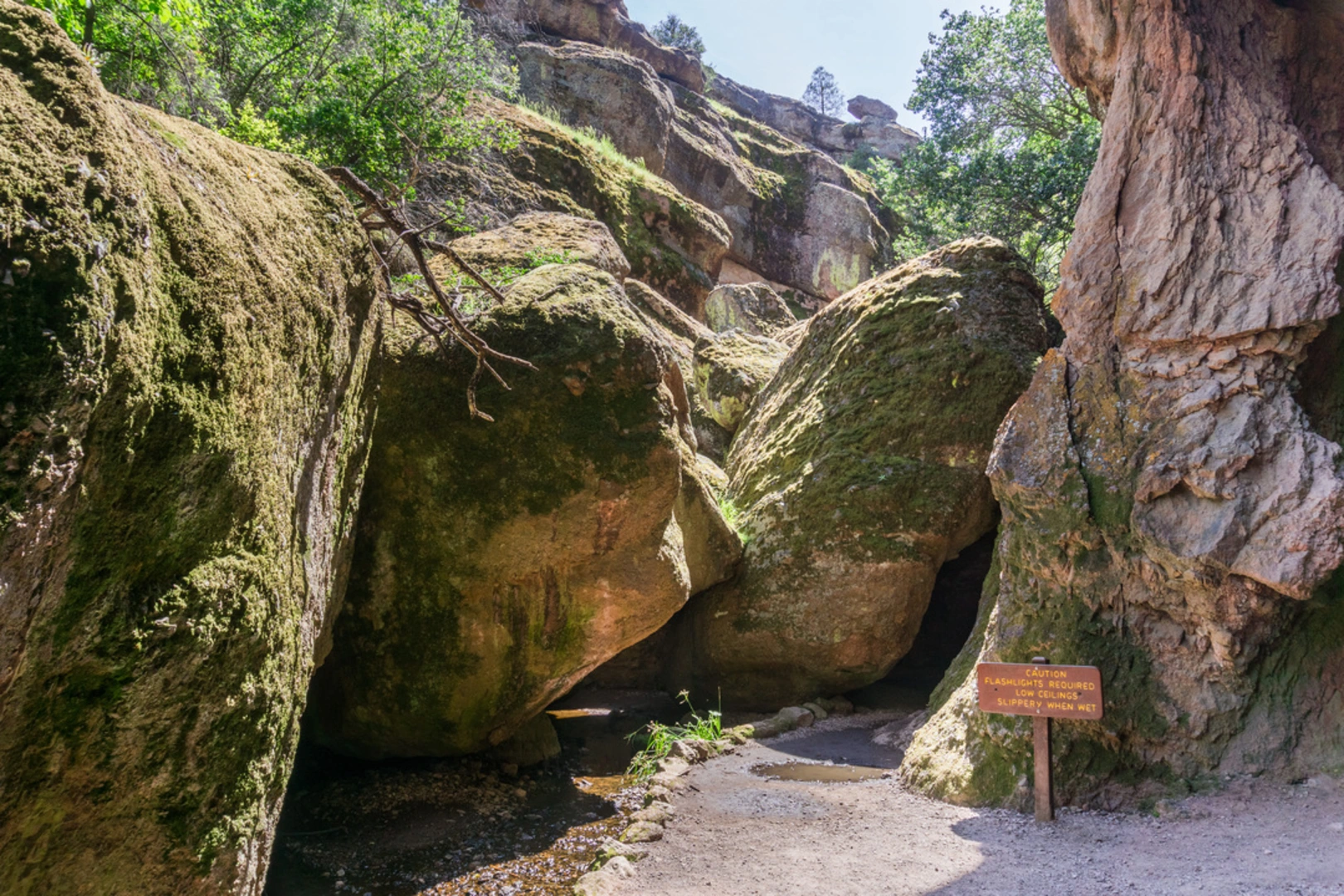 An image depicting the trail Condor Gulch Trail to High Peaks Loop Trail and its surrounding area.