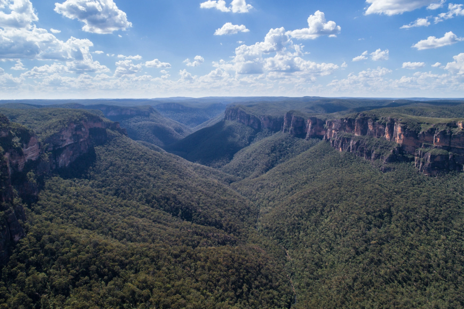 An image depicting the trail Perrys Lookdown to Blue Gum Forest Track and its surrounding area.