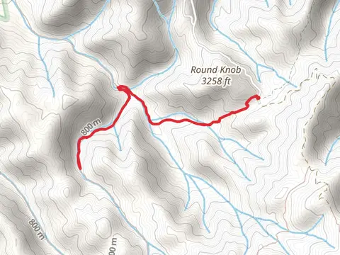 Artie Hollow and Davis Creek Trail