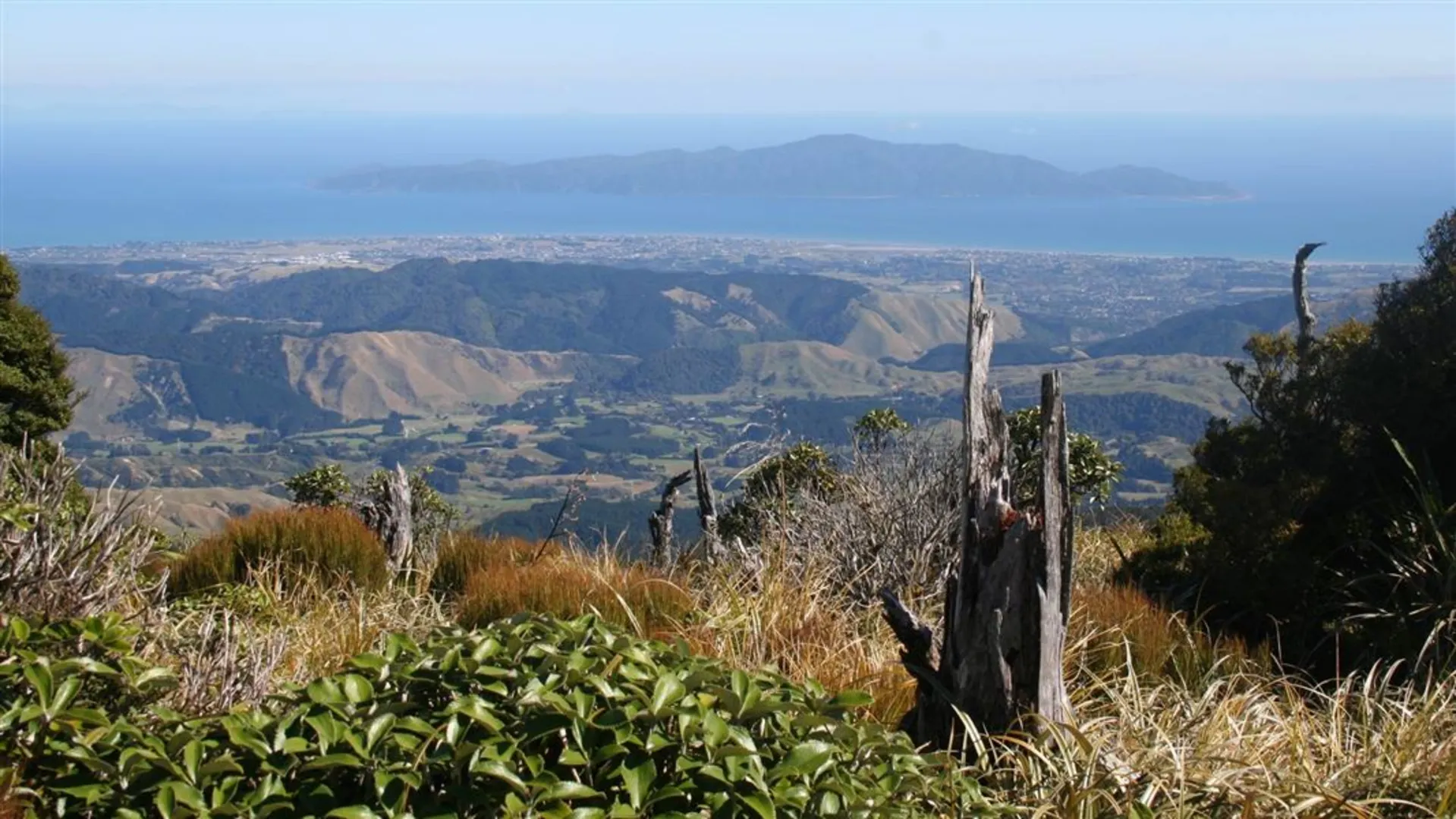 An image depicting the trail Kapakapanui Track and its surrounding area.