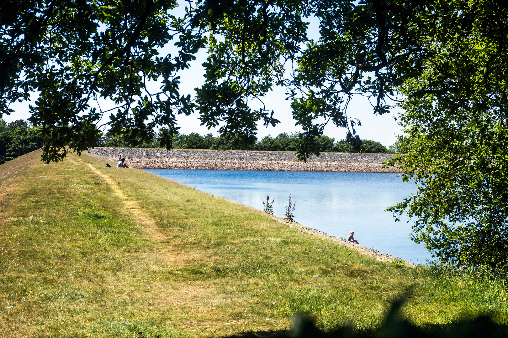 An image depicting the trail Anglezarke Circuit from Rivington and its surrounding area.