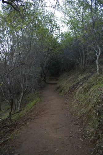 Chaparral Loop Trail