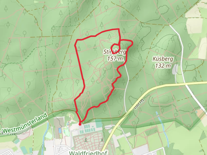 Stimberg Loop