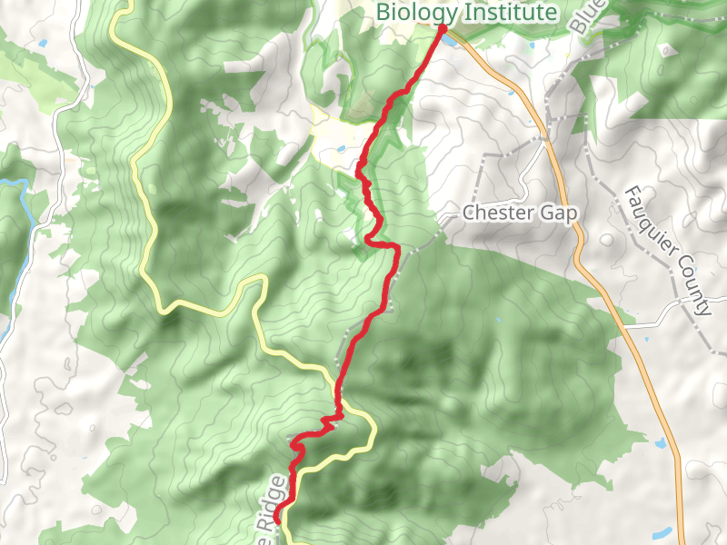 Compton Peak and Carson Mountain via Appalachian Trail
