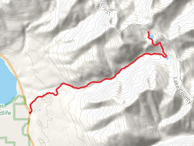 Bond Creek Trail