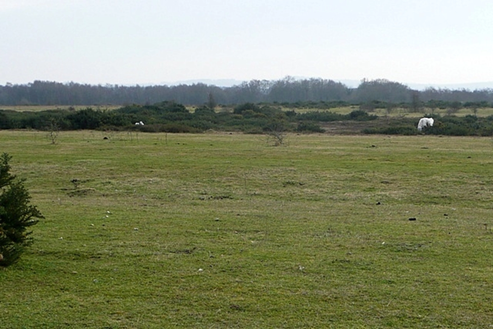 An image depicting the trail Greenham Common Loop and its surrounding area.