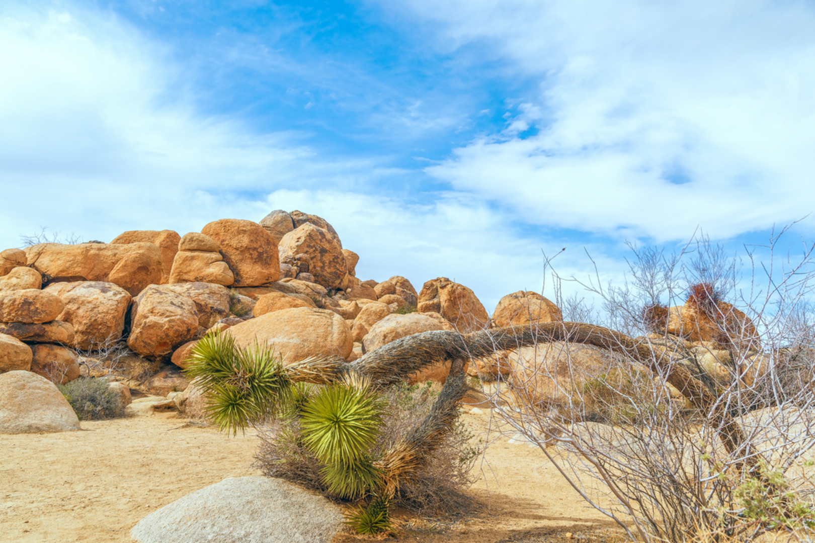 An image depicting the trail Quail Springs Trail and its surrounding area.