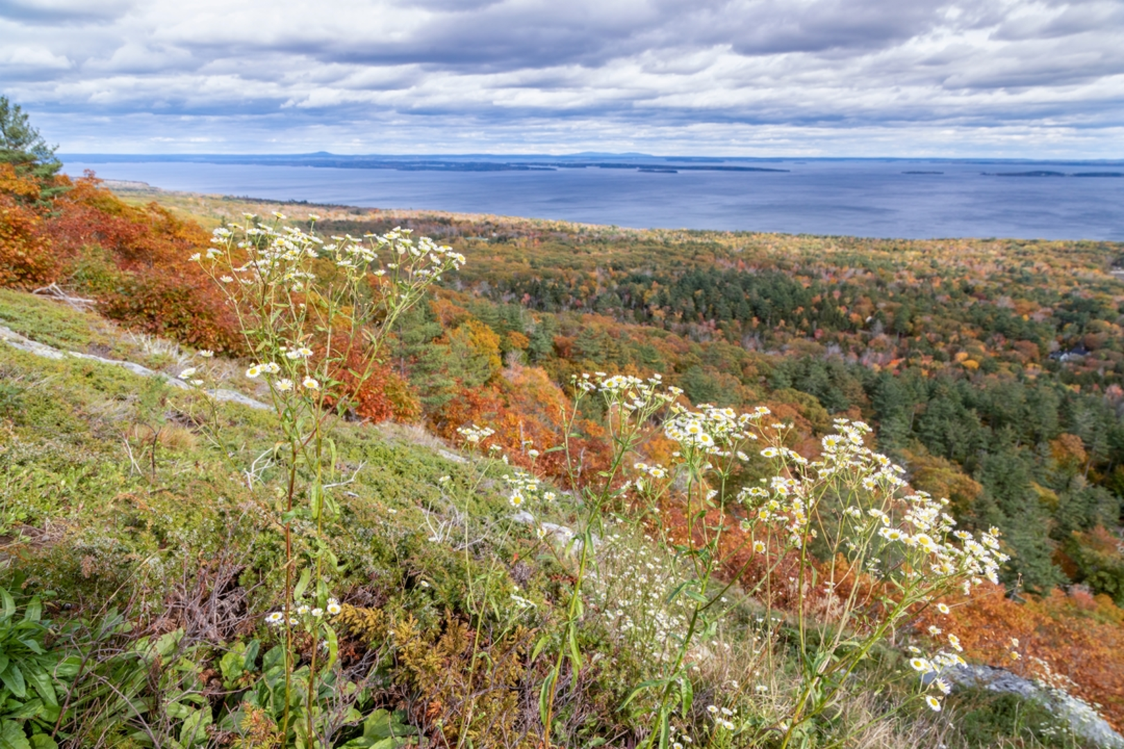 An image depicting the trail Bald Rock Mountain Loop and its surrounding area.