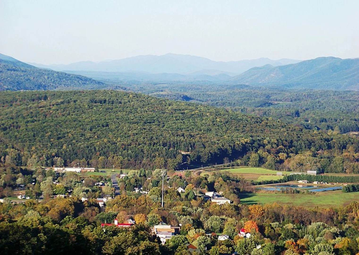 An image depicting the trail Lick Branch Trail and its surrounding area.