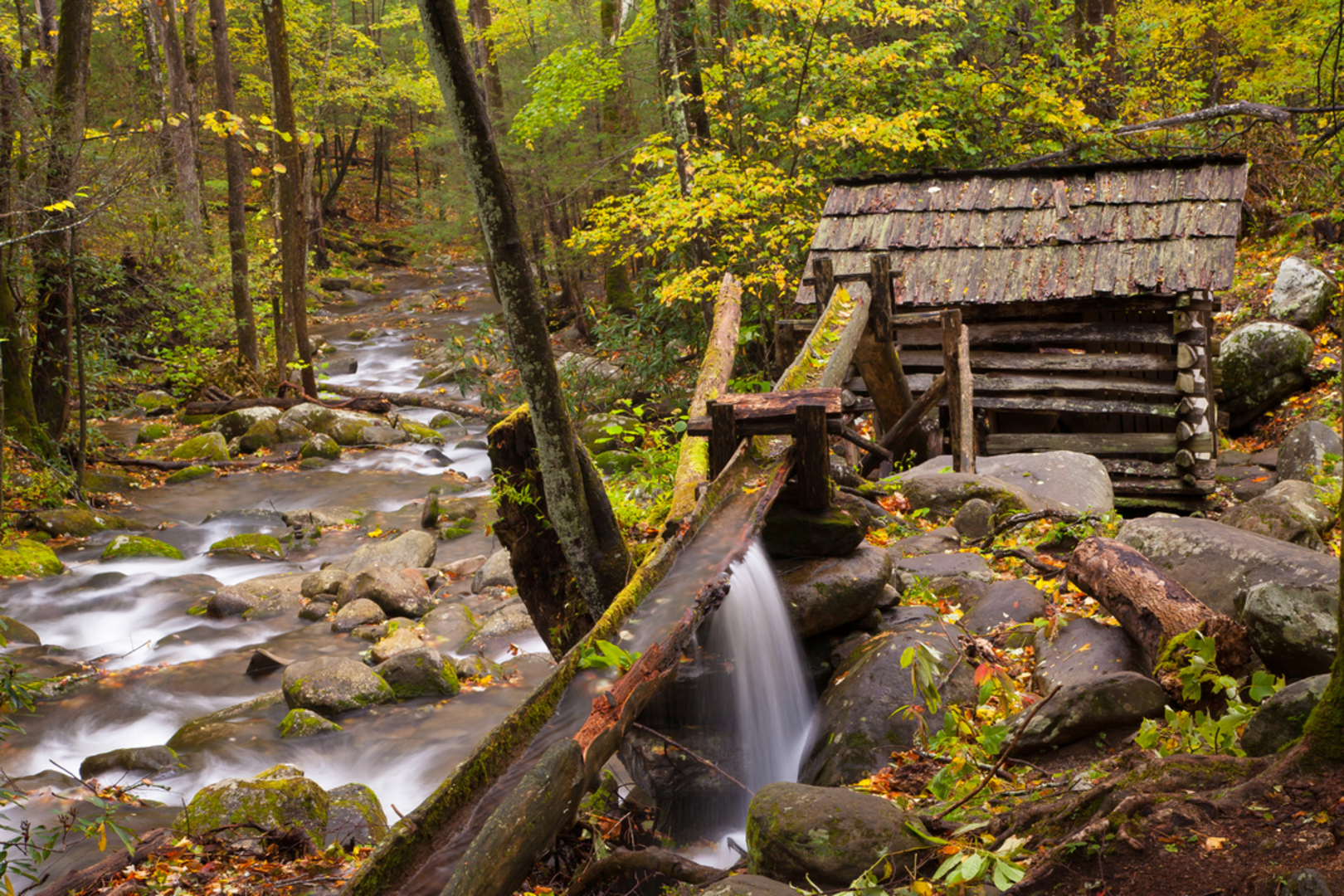 An image depicting the trail Twin Creeks Trail and its surrounding area.