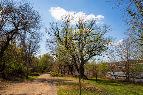 N Shore Trail