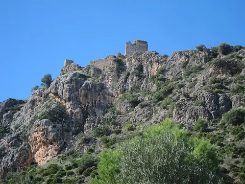 Garzon Source
