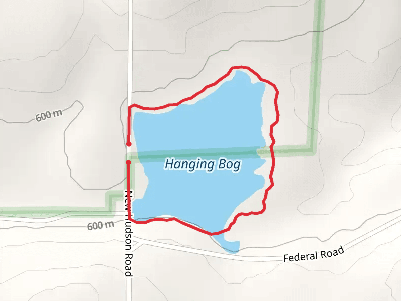 Hanging Bog Loop