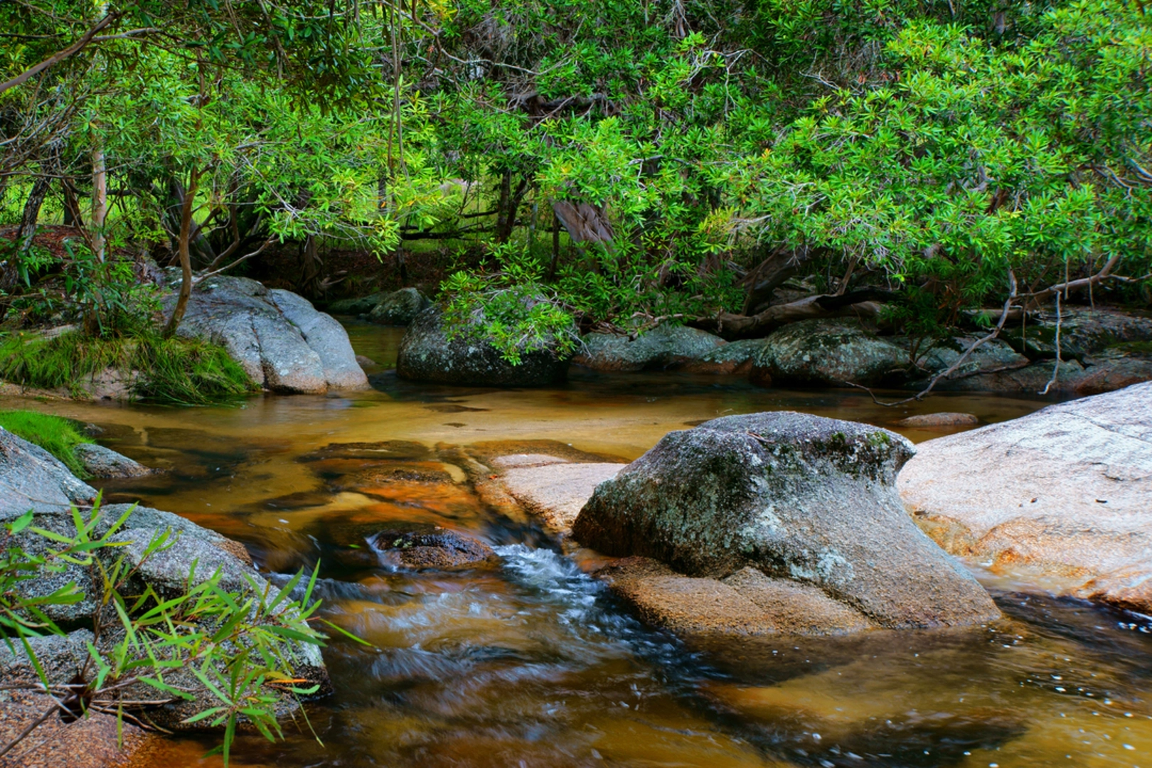 An image depicting the trail Turtle Rock Circuit Trail and its surrounding area.