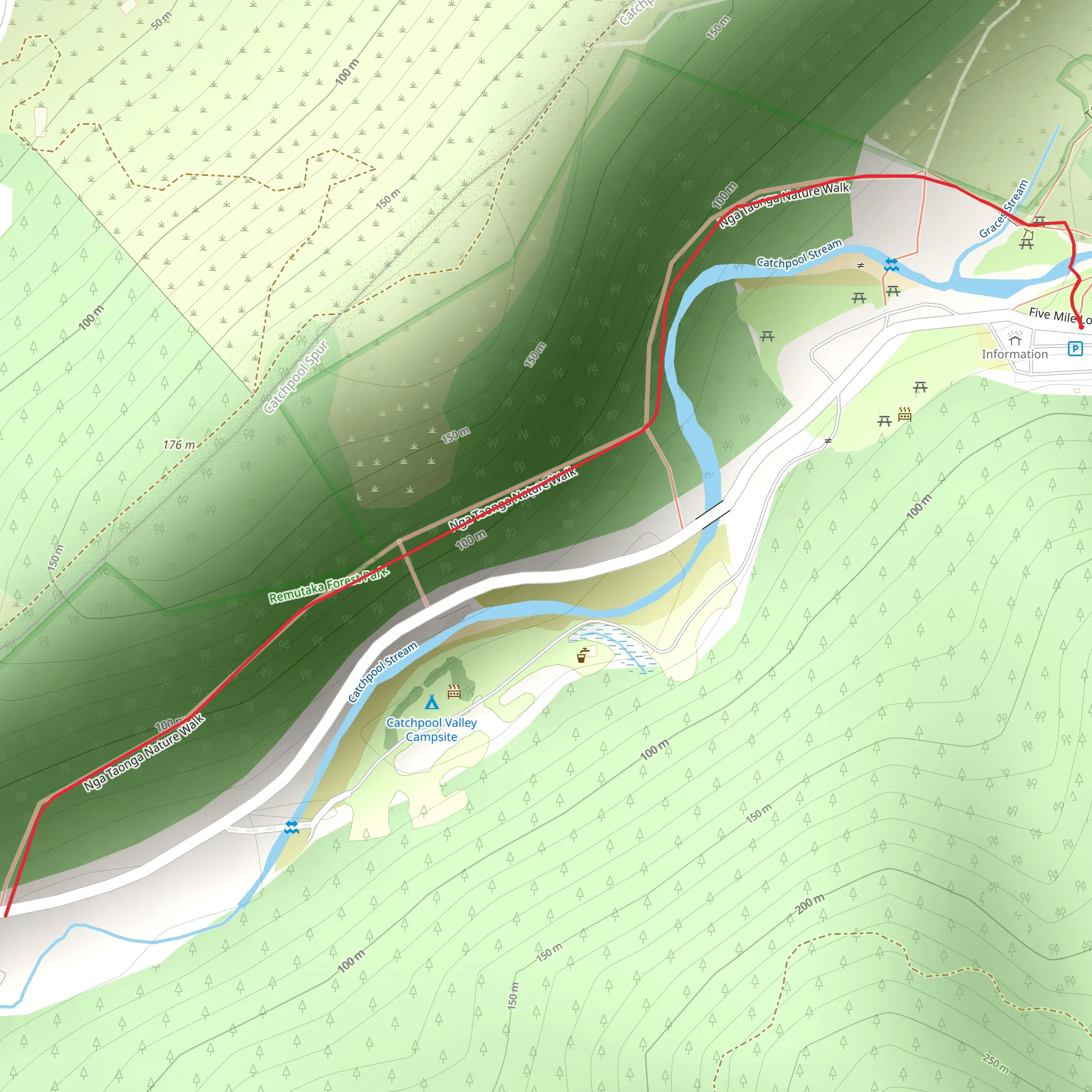 Nga Taonga Nature Walk mobile static map