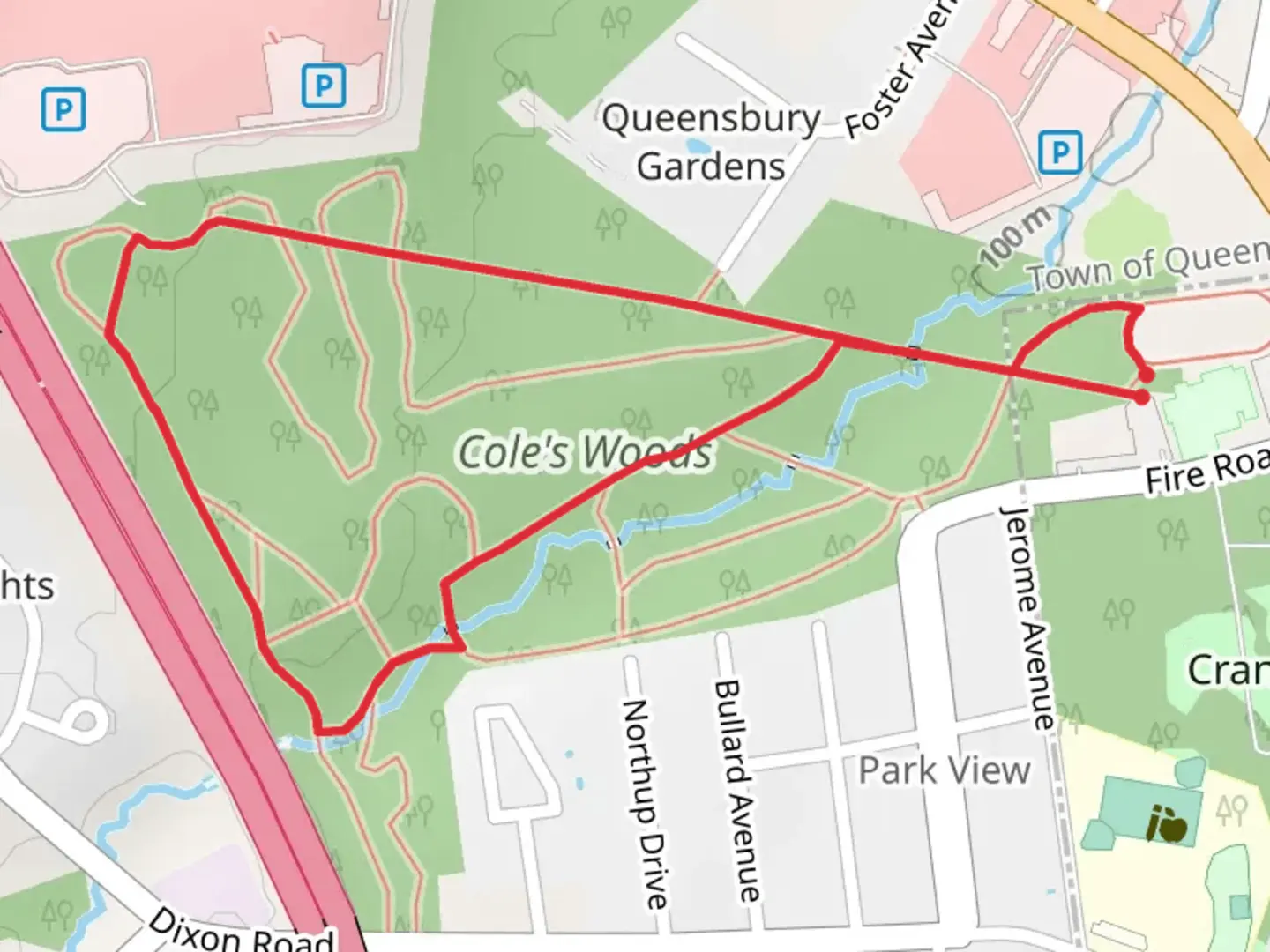 An image depicting the trail Halfway Brook in Cole's Woods and its surrounding area.