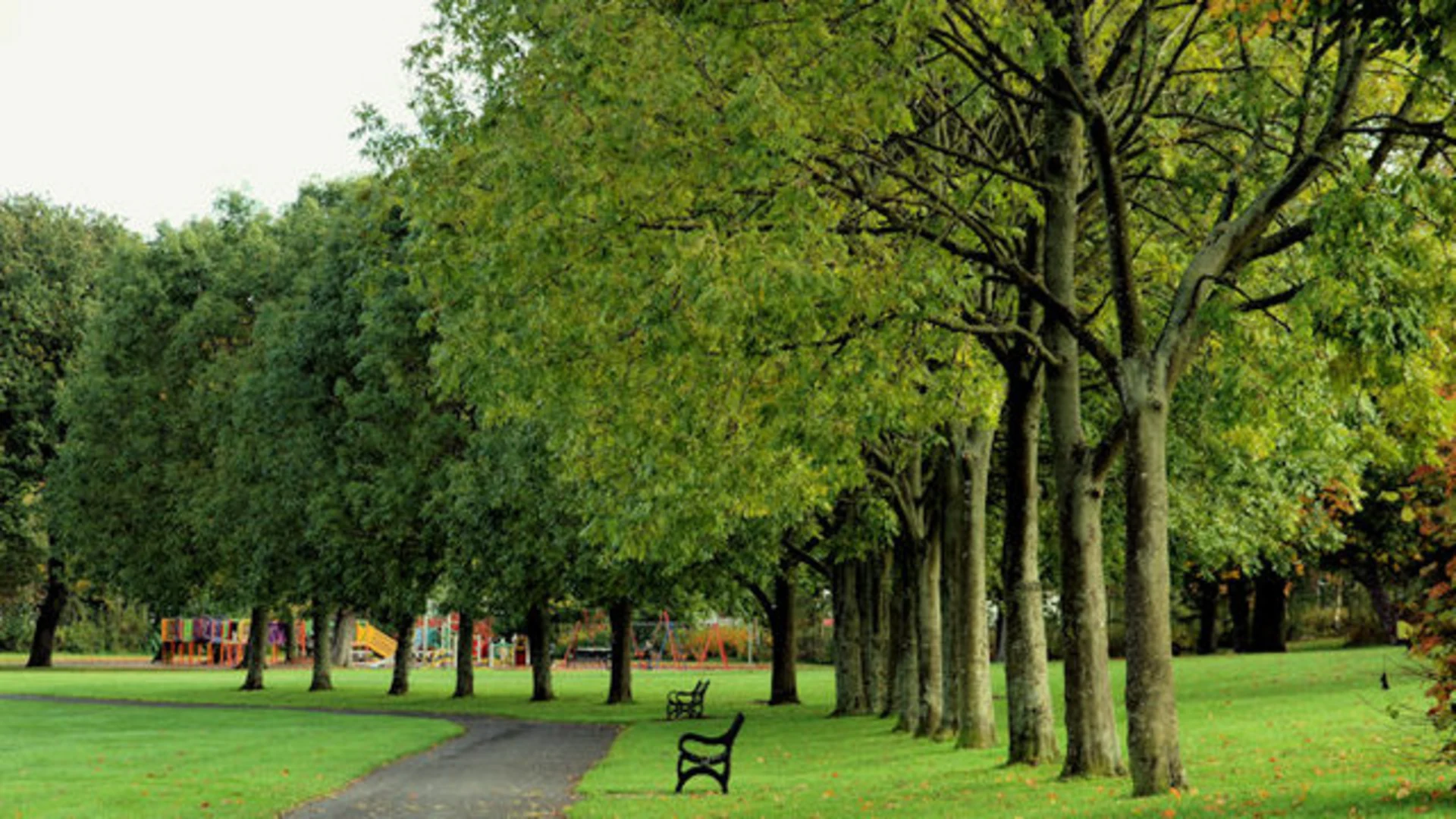 An image depicting the trail Ormeau Park and its surrounding area.