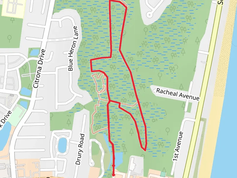 Egans Creek Loop