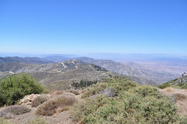 Mount Gleason Loop via PCT