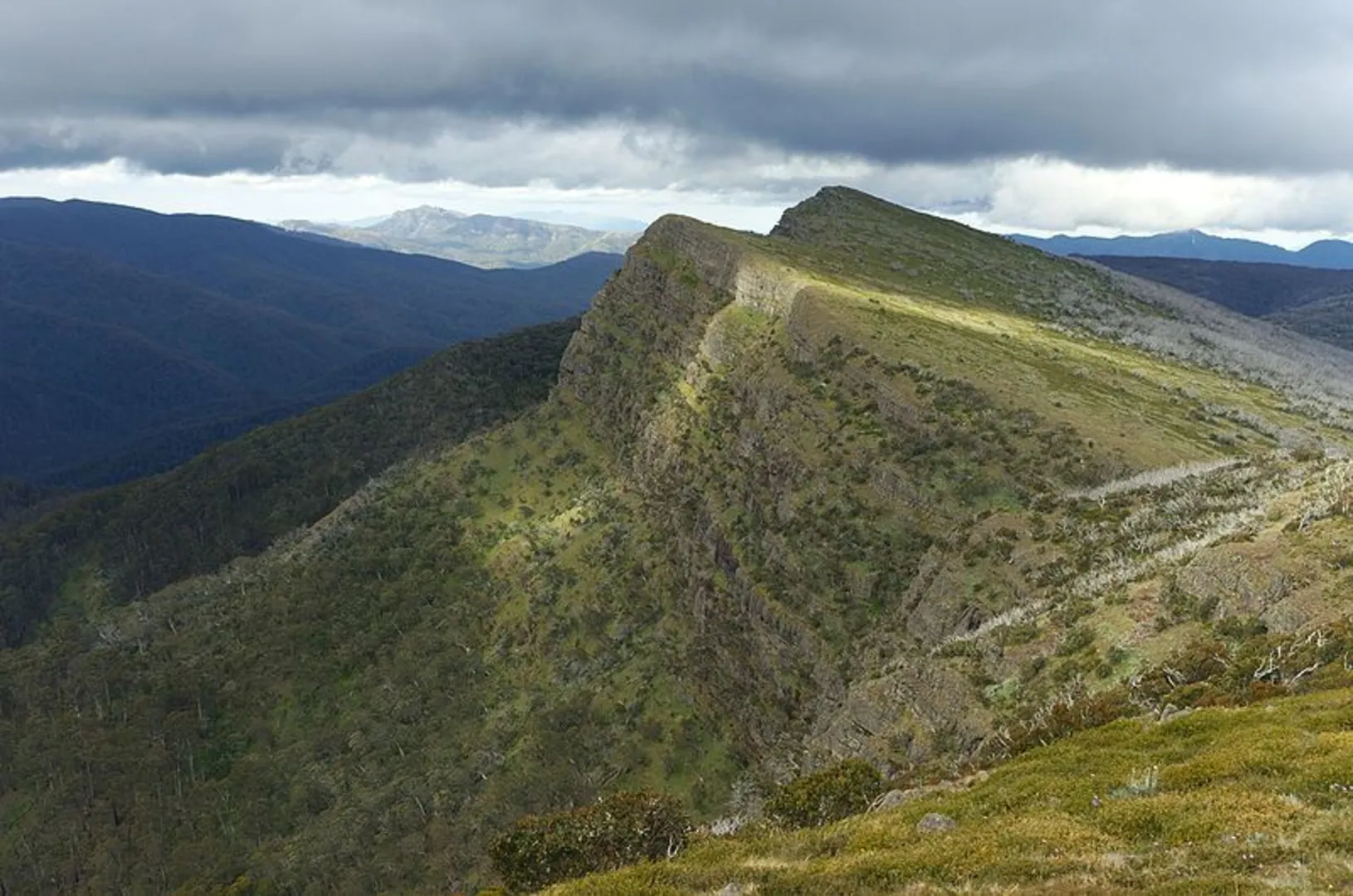 An image depicting the trail The Bluff Trail and its surrounding area.
