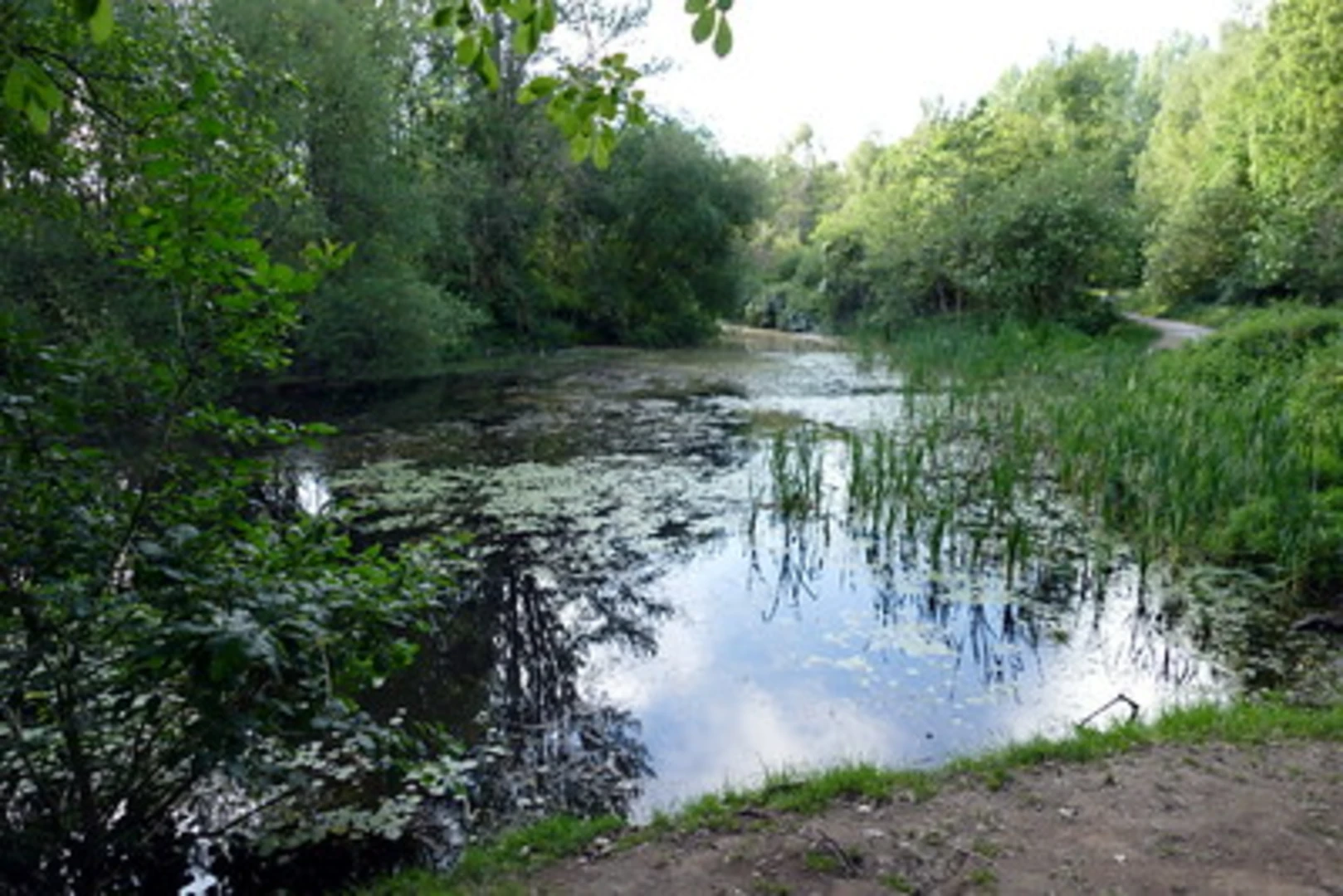 An image depicting the trail Blue Route and Salford Trail and its surrounding area.