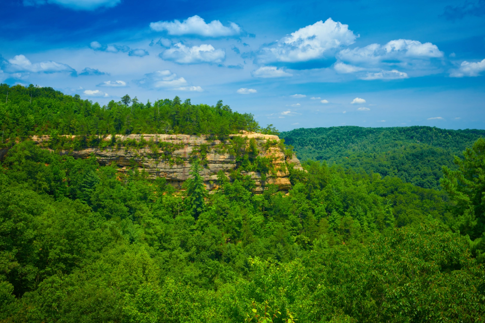 An image depicting the trail Battleship Rock Loop and its surrounding area.