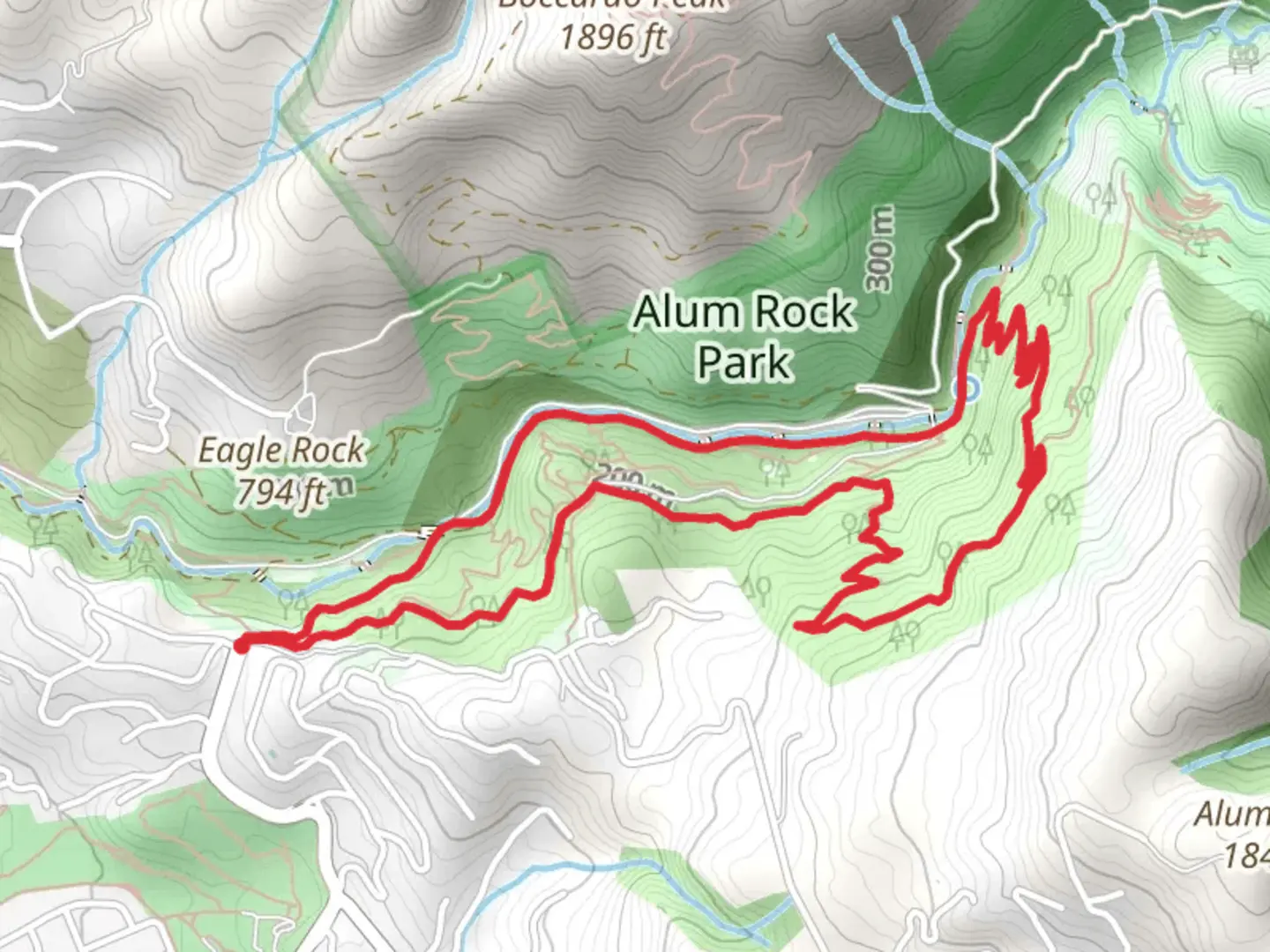 An image depicting the trail Penitencia Creek, Switchback and Woodland Loop Trail and its surrounding area.
