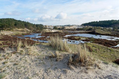 Schoorlse Duinen via Julianalaan and Uilenvangersweg