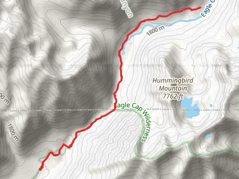 Main Eagle Trail