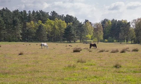 Stuckenbrock-Senne Loop via Ems-Erlebniswelt