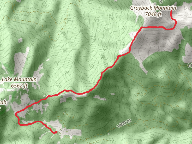 Grayback Mountain via Boundary Trail