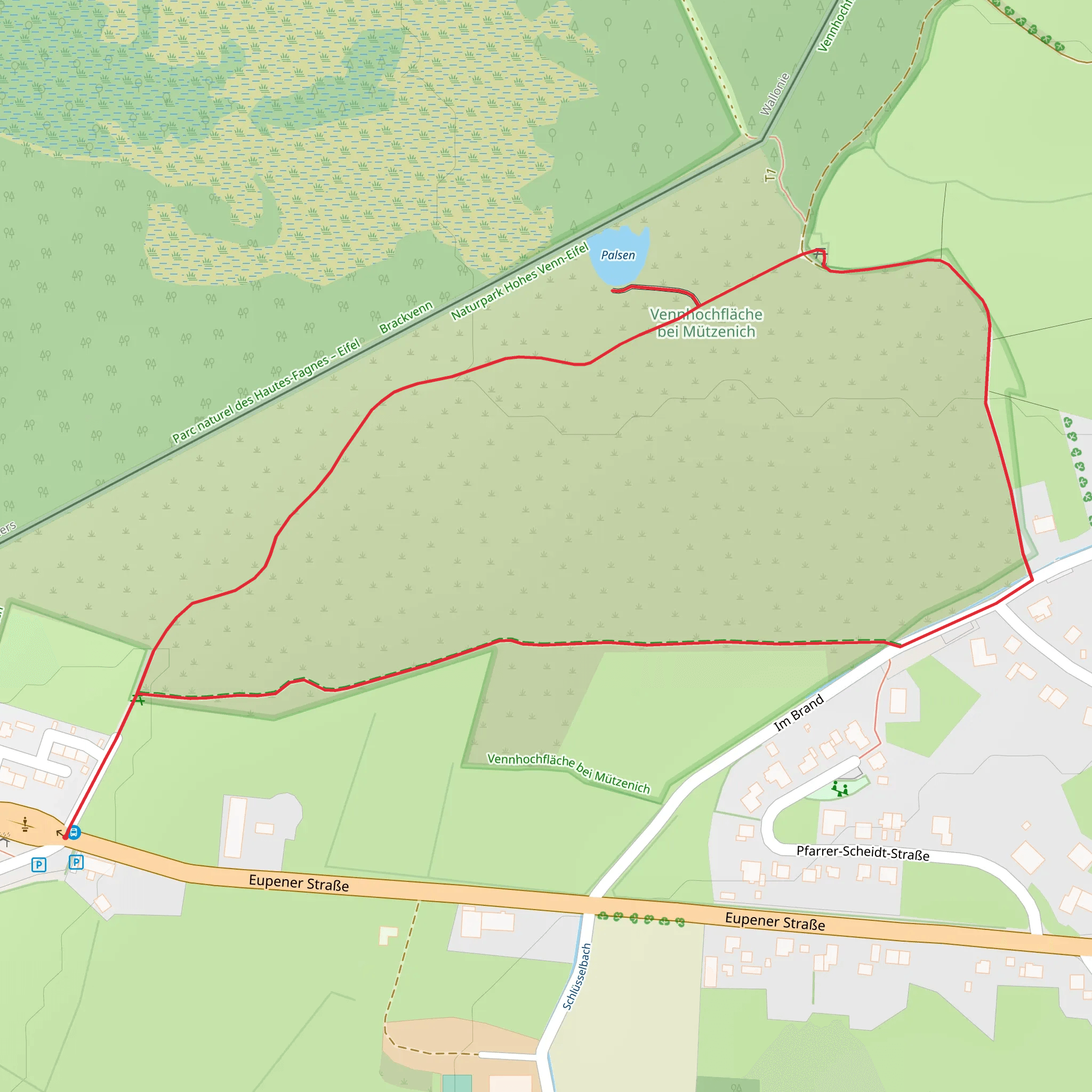 Palsen, Baumtelefon and Vennhochfläche bei Mützenich Loop via Moor
