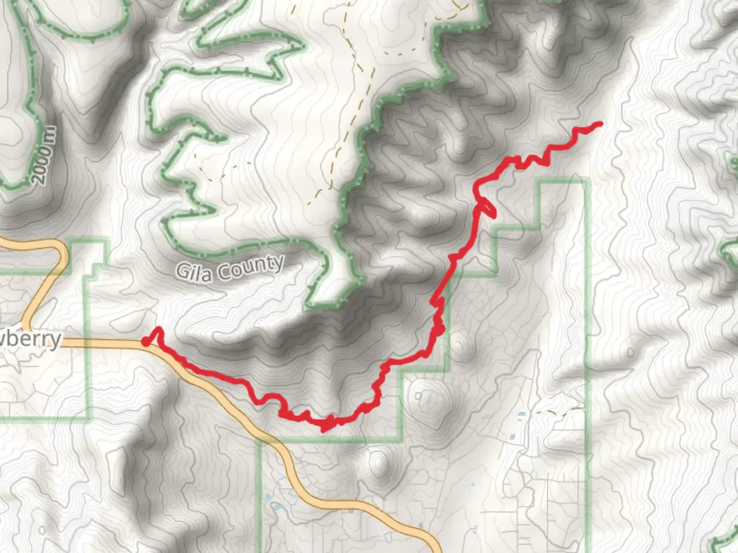 An image depicting the trail Pine Canyon Creek Trail and its surrounding area.