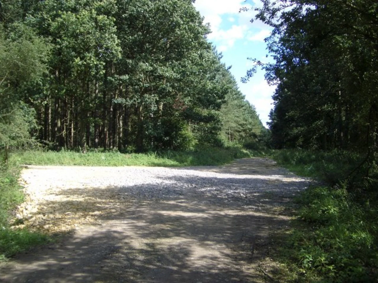 An image depicting the trail Sailing Lake and Titchmarsh NR Loop and its surrounding area.