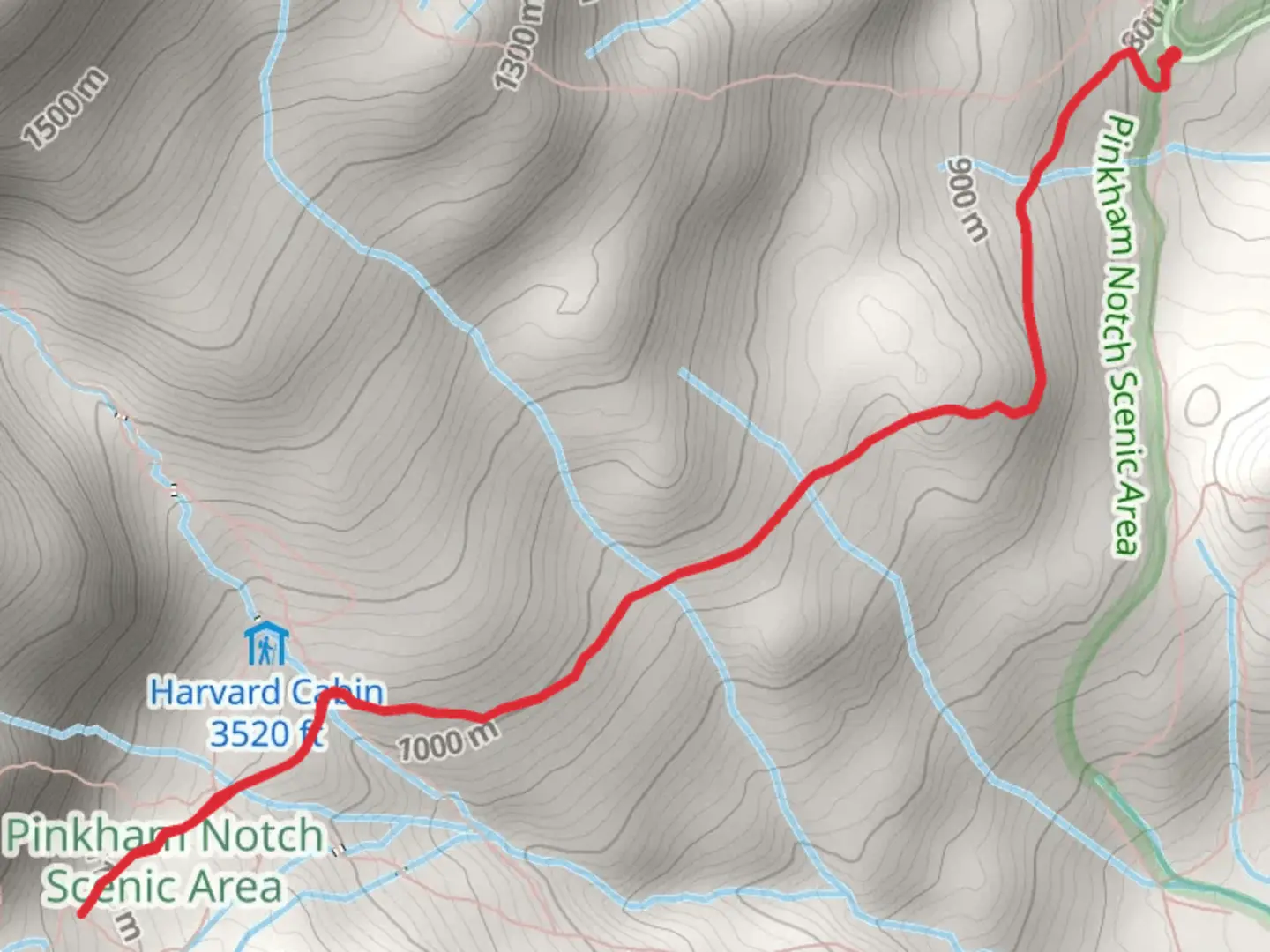 An image depicting the trail Low Bald Spot and its surrounding area.