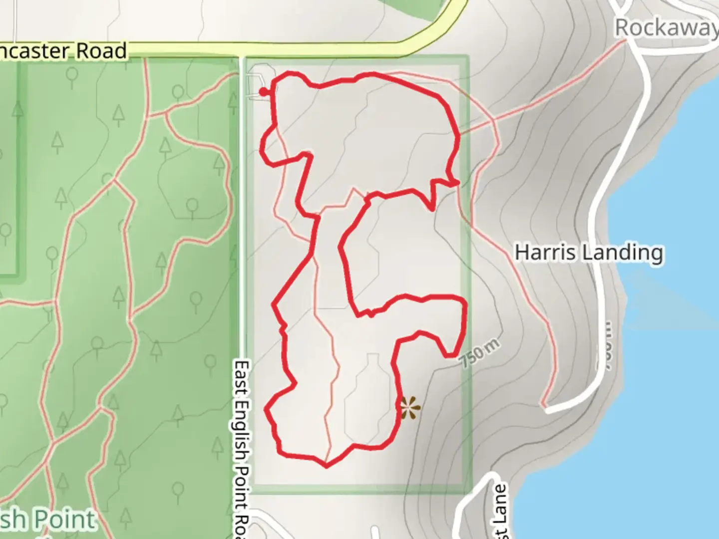 An image depicting the trail English Point Loop and its surrounding area.