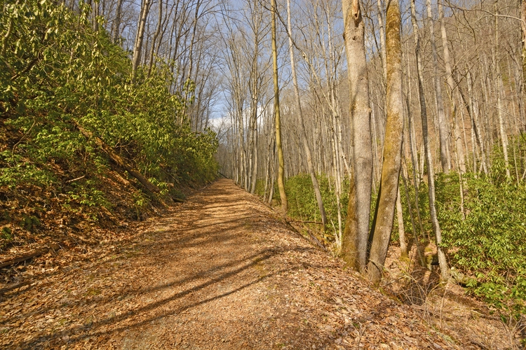 Kanati Fork Trail