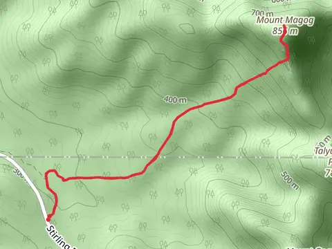 Mt Magog Walk
