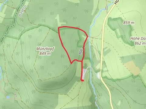 Holzberg Loop